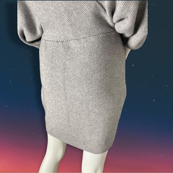 PETAL Roz Silver Gray Vneck Bodycon Sweater Dress Size Large - Picture 11 of 13